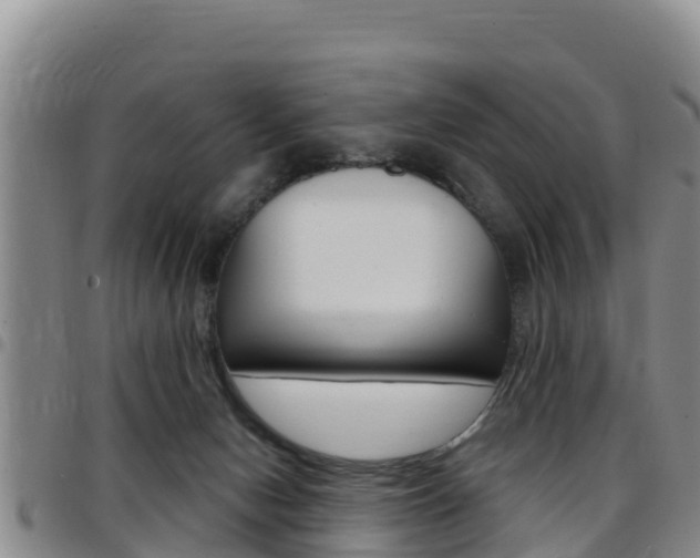 X0000097890078200803141014