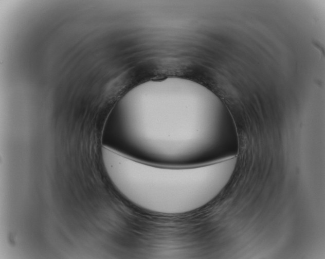 X0000097890080200803141014