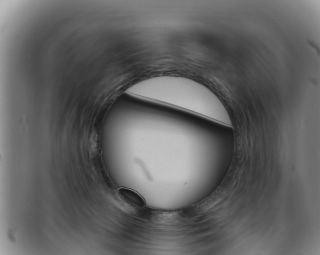X0000097890081200803141014