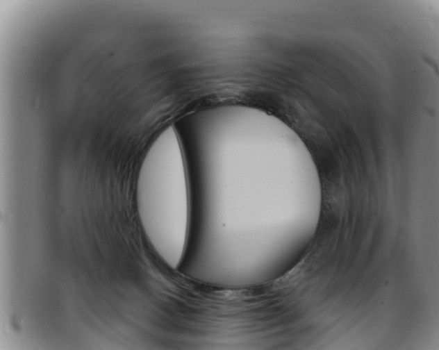 X0000097890082200803141014