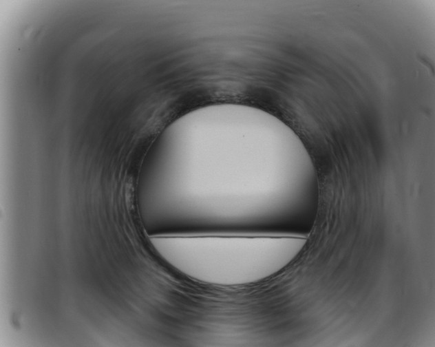 X0000097890083200803141014
