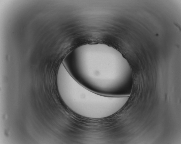 X0000097890084200803141014