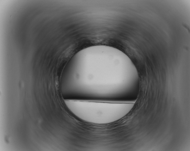 X0000097890085200803141014