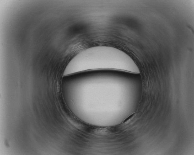 X0000097890086200803141014