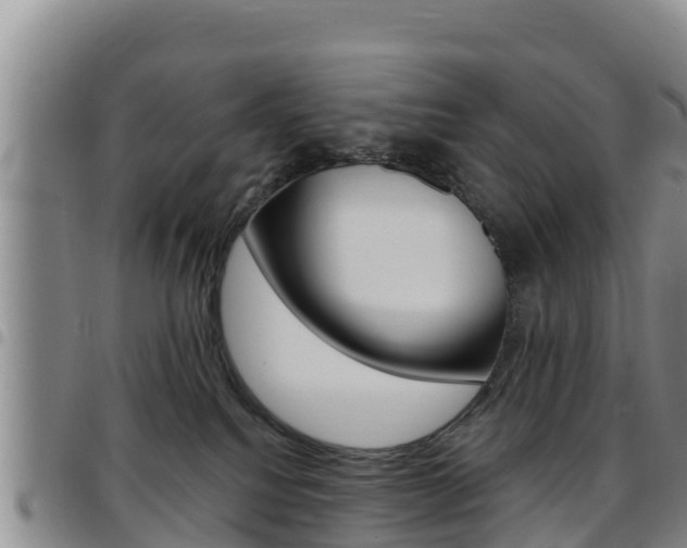 X0000097890088200803141014