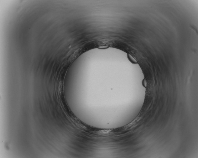 X0000097890090200803141015