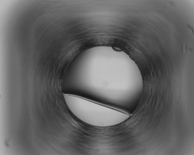 X0000097890091200803141015