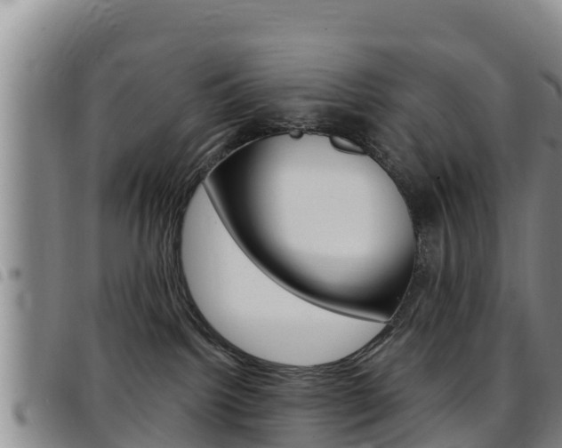 X0000097890092200803141015