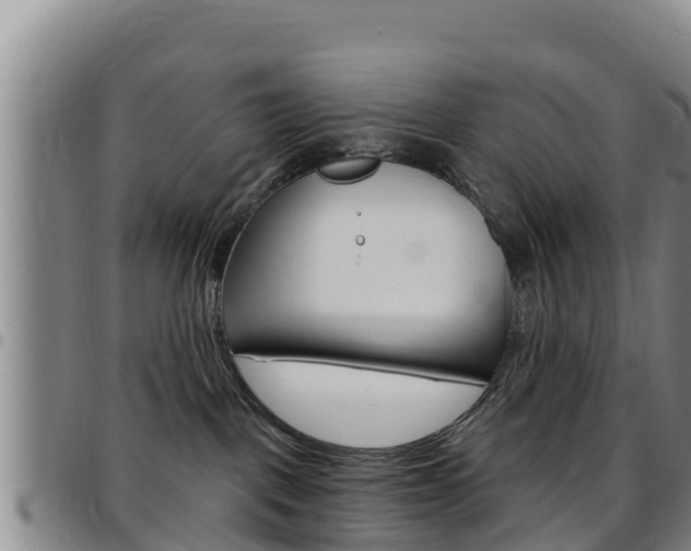 X0000097890093200803141015