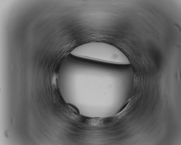X0000097890094200803141015