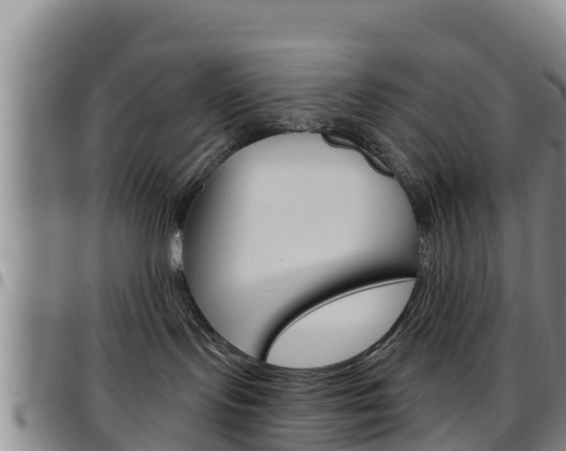 X0000097890095200803141015