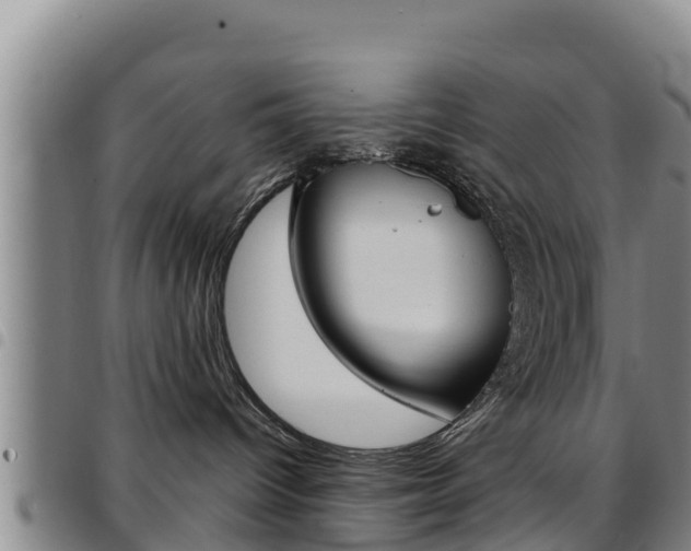 X0000097890096200803141015