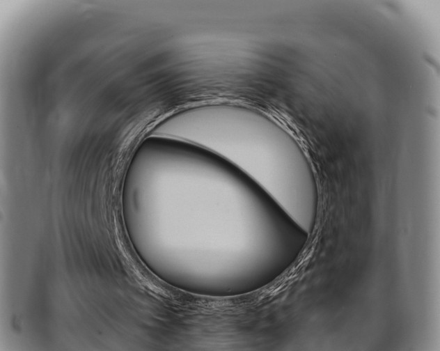 X0000097890097200803141014
