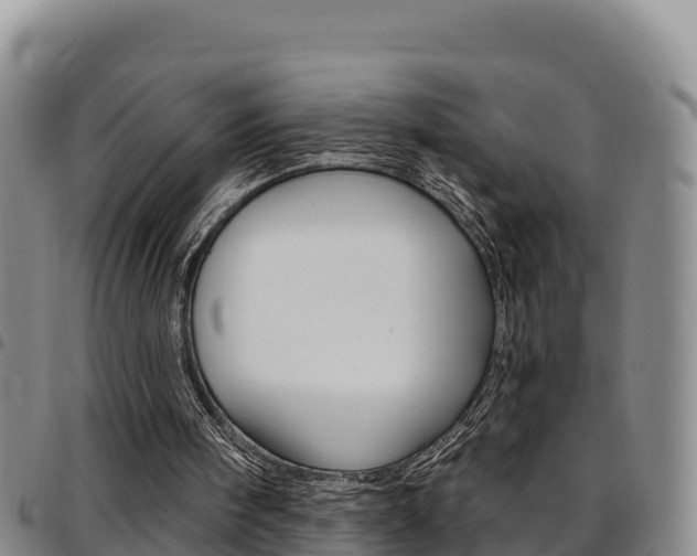 X0000097890098200803141014