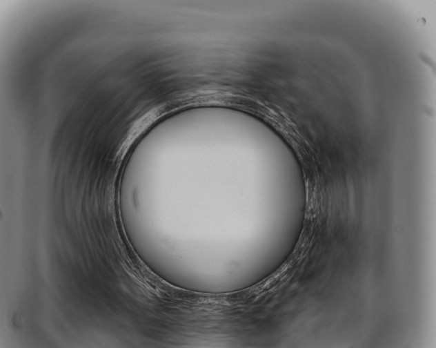 X0000097890099200803141014