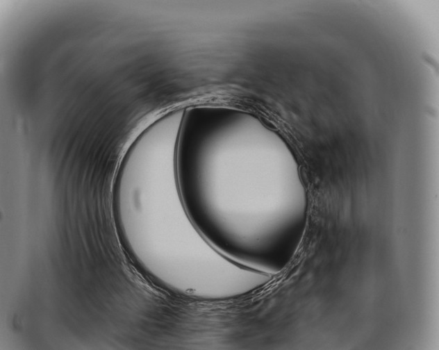 X0000097890100200803141014