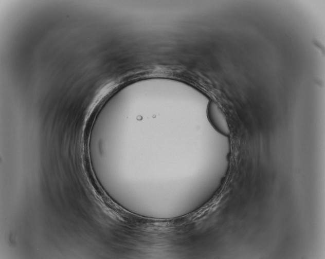 X0000097890102200803141014