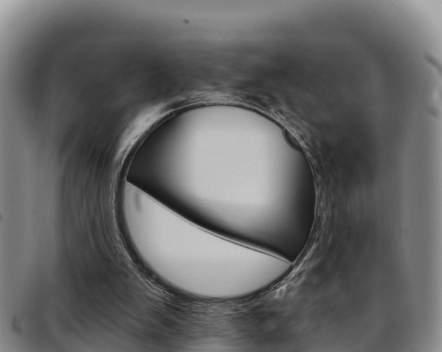 X0000097890103200803141014