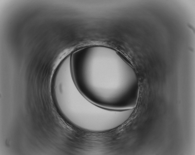 X0000097890104200803141014