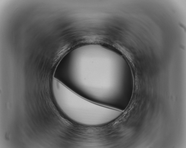 X0000097890105200803141014