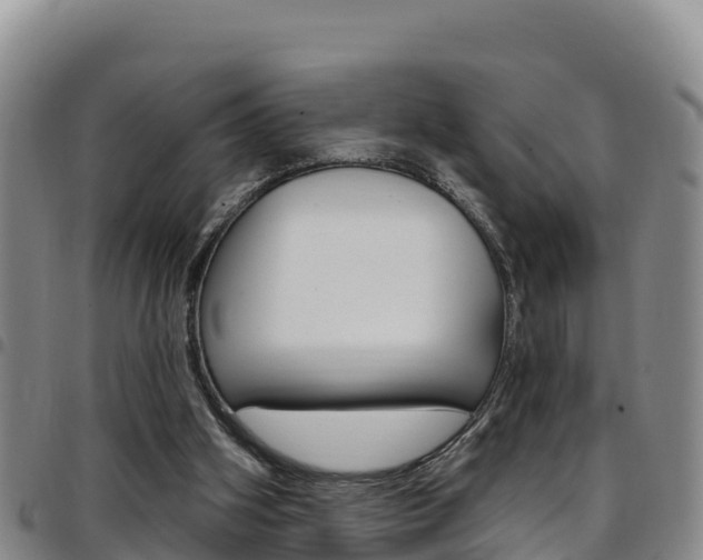 X0000097890106200803141014