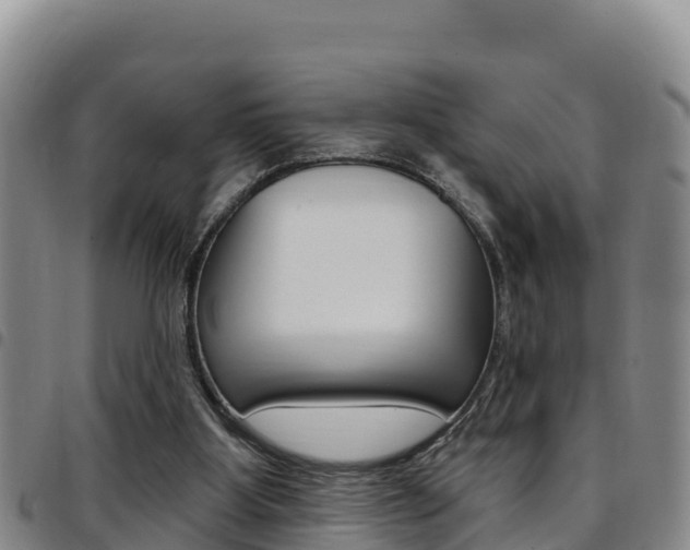 X0000097890107200803141014