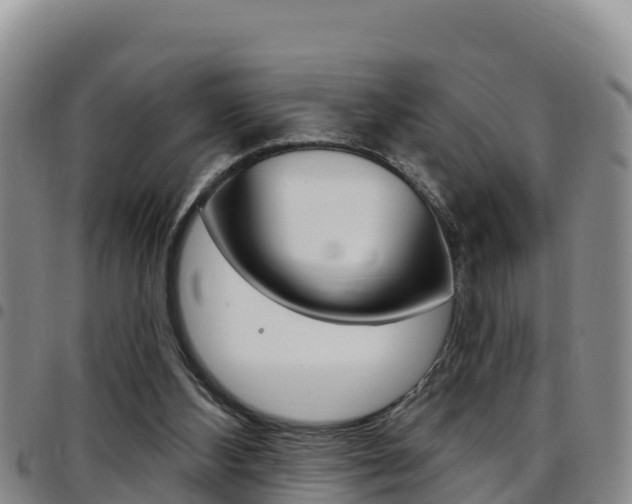 X0000097890108200803141014