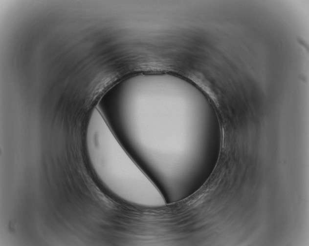 X0000097890109200803141014