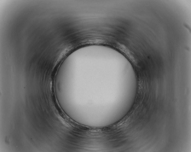 X0000097890110200803141014