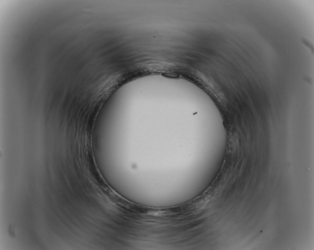 X0000097890117200803141014