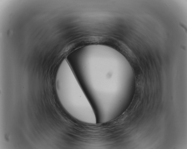 X0000097890119200803141013