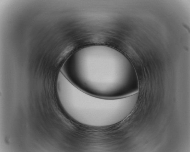X0000097890120200803141013