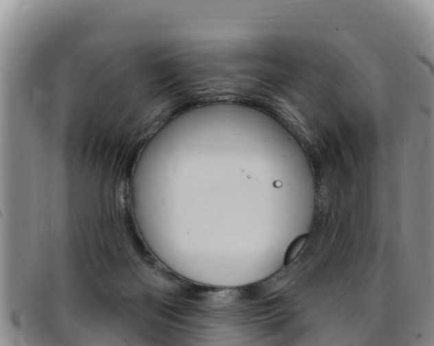 X0000097890122200803141013
