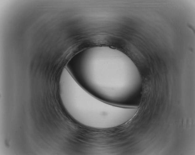 X0000097890124200803141013