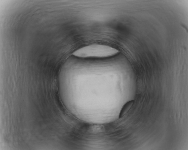 X0000097890126200803141013