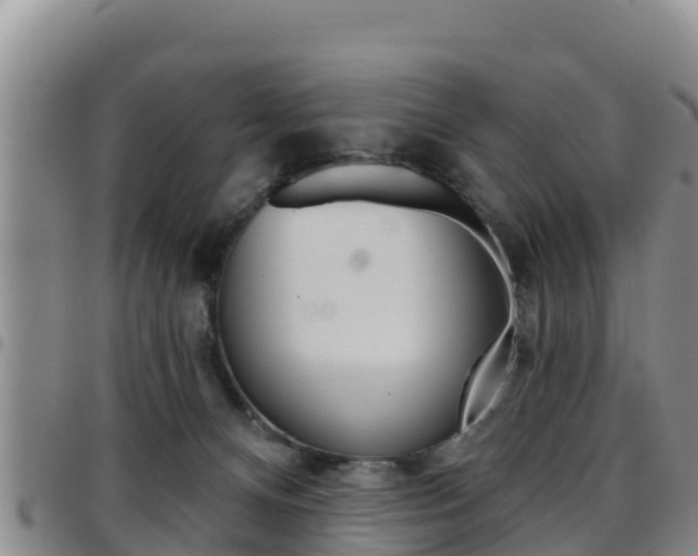 X0000097890128200803141013