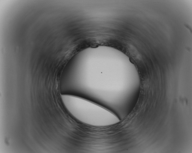 X0000097890129200803141013