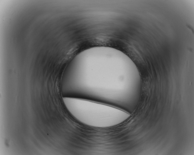 X0000097890131200803141013