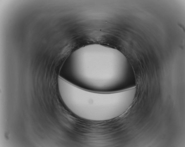 X0000097890132200803141013