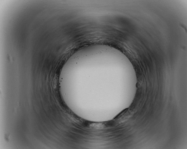 X0000097890133200803141013