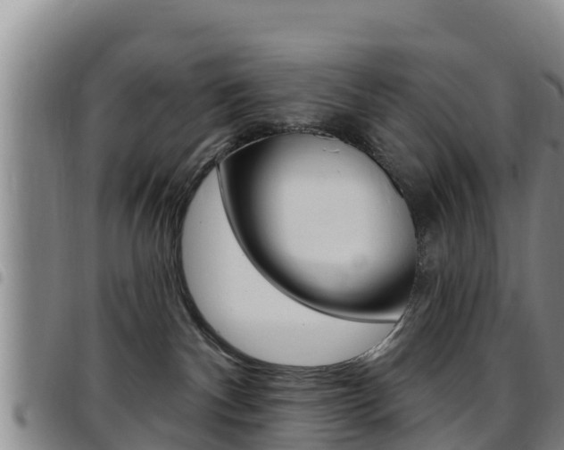 X0000097890140200803141013