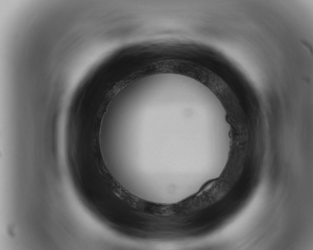 X0000097890143200803141013