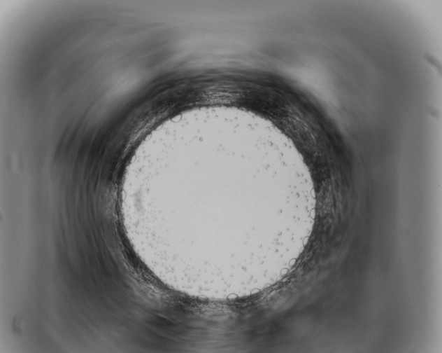 X0000097890146200803141013