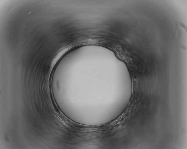 X0000097890147200803141013