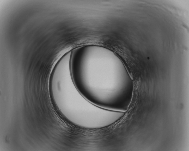 X0000097890148200803141013