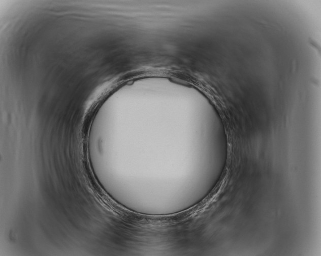 X0000097890149200803141013