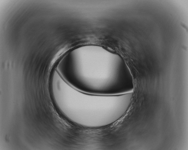 X0000097890150200803141013