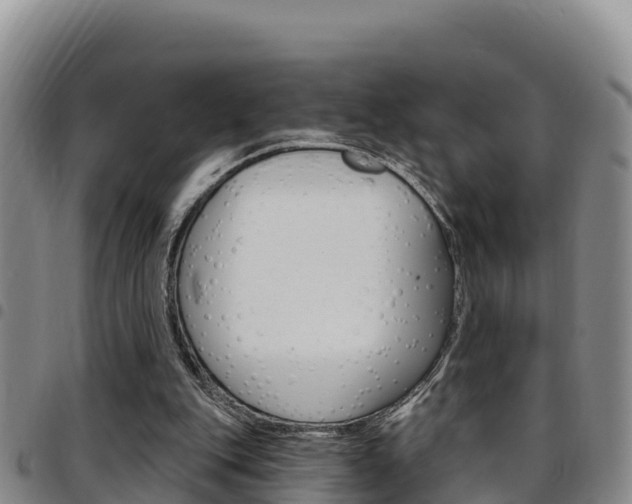 X0000097890151200803141013