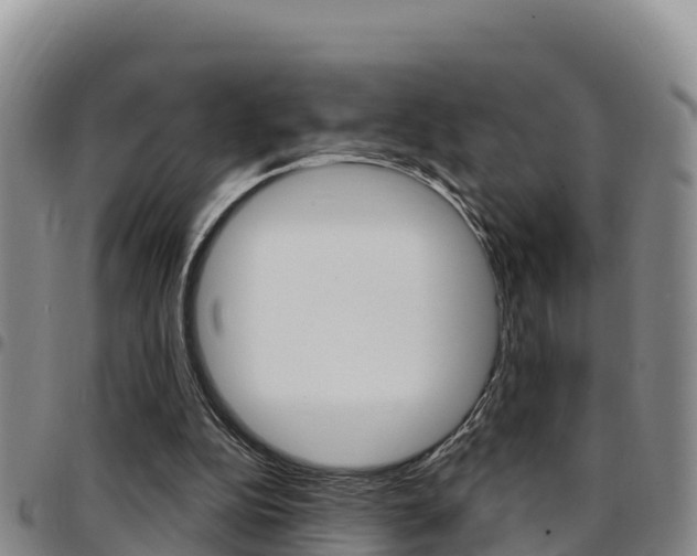 X0000097890152200803141013