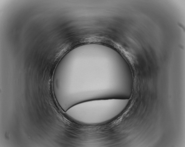 X0000097890153200803141013